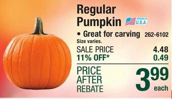 Menards Regular pumpkin offer