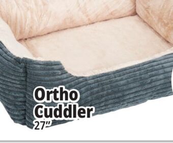 Ocean State Job Lot Ortho cuddler offer