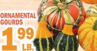 C Town Ornamental gourds offer