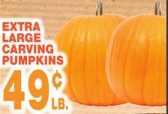 Bravo Supermarkets Extra large carving pumpkins offer