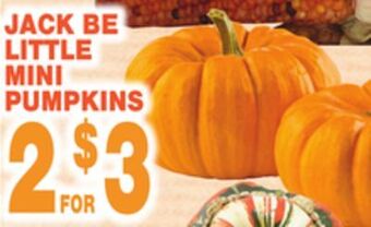 Bravo Supermarkets Jack be little mini pumpkins offer