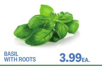 Kings Food Markets Basil with roots offer