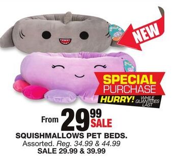 Blain's Farm & Fleet Squishmallows pet beds offer