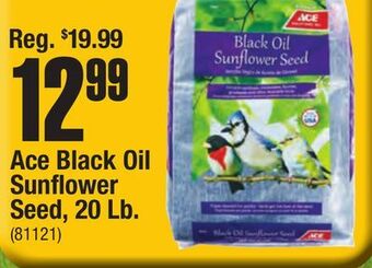 Ace Hardware Ace black oil sunflower seed, 20 lb offer