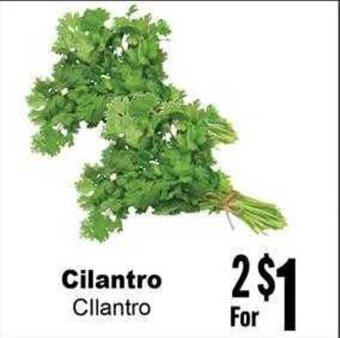 Rancho Markets Cilantro offer