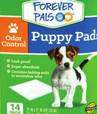 Dollar General Forever pals offer