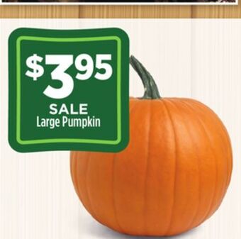Dollar General Large pumpkin offer