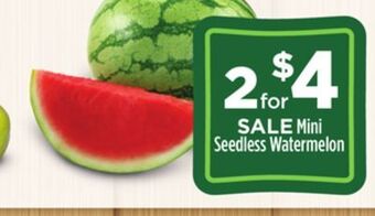 Dollar General Mini seedless watermelon offer