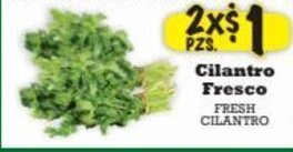 La Michoacana Cilantro Fresco offer