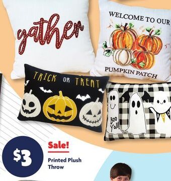 Family Dollar Printed plush throw offer