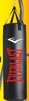 Big 5 Everlast 100 lb. nevatear heavy bag offer
