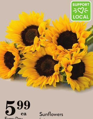 Pavilions Sunflowers offer