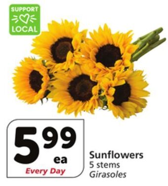 Albertsons Sunflowers offer