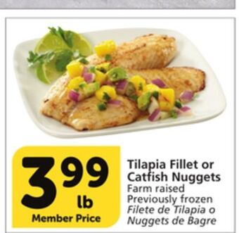 Albertsons Tilapia fillet or catfish nuggets offer