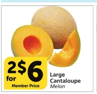 Albertsons Large cantaloupe offer