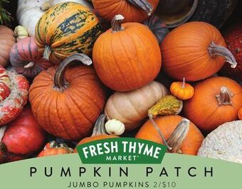 Fresh Thyme Jumbo jack o'lantern pumpkins offer