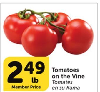 Albertsons Tomatoes on the vine offer