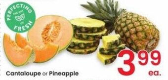 Albertsons Cantaloupe or Pineapple offer