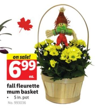 Lidl Fall fleurette mum basket offer