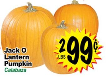 Superior Grocers Jack o lantern pumpkin offer