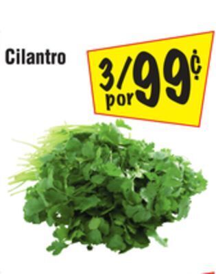El Super Cilantro offer