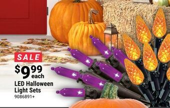 Ace Hardware Led halloween light sets offer