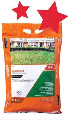 Ace Hardware Ace winterizer offer