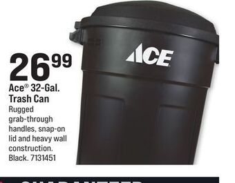 Ace Hardware Ace 32-gal. trash can offer