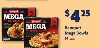 Family Dollar Banquet mega bowls offer
