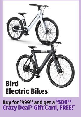 Ocean State Job Lot Bird electric bikes offer