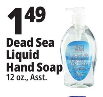 Ocean State Job Lot Dead sea liquid hand soap offer