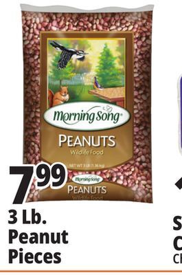 Ocean State Job Lot 3 lb. peanut pieces offer