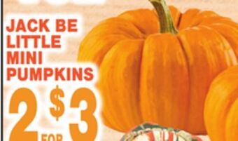 Bravo Supermarkets Little mini mini pumpkins offer