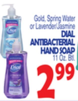 Bravo Supermarkets Dial antibacterial hand soap offer