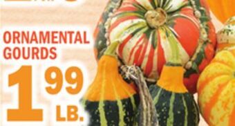 C Town Ornamental gourds offer