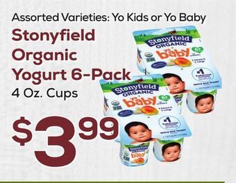 DeCicco & Sons Stonyfield organic yogurt 6-pack offer