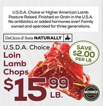 DeCicco & Sons Loin lamb chops offer