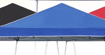 Big 5 Z-shade odyssey 10' x 10' slant leg instant canopy offer