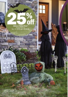 Meijer Halloween outdoor décor offer