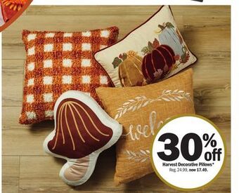 Meijer Harvest decorative pillows offer