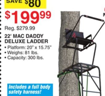 Dunham's Sports 22' mac daddy deluxe ladder offer