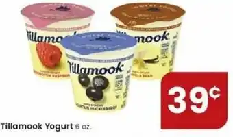 Albertsons Tillamook Yogurt 6 oz offer