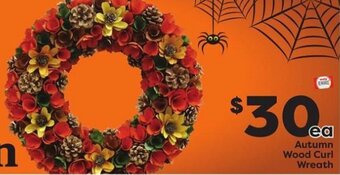 Weis Markets Autumn Wood Curl Wreath offer