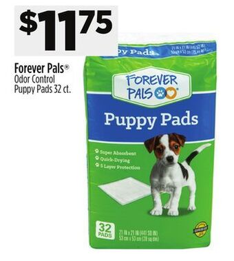 Dollar General Forever pals odor control puppy pads offer