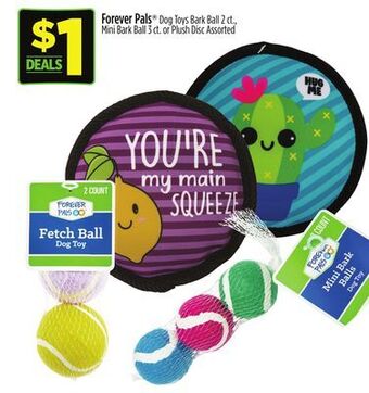 Dollar General Forever pals offer