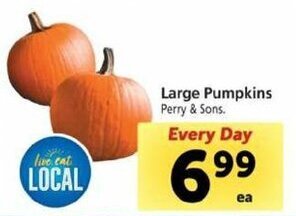 Safeway Large Pumpkins offer