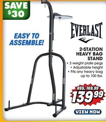 Big 5 Everlast dual-station heavy bag and speed bag stand offer