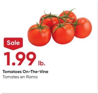 Stater Bros Tomatoes on-the-vine offer