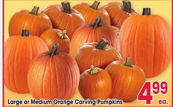 Jewel-Osco Large or medium orange carving pumpkins offer