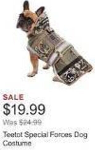 Costco Teetot Special Forces Dog Costume offer
